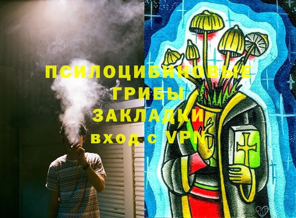 PSILOCYBIN Алзамай